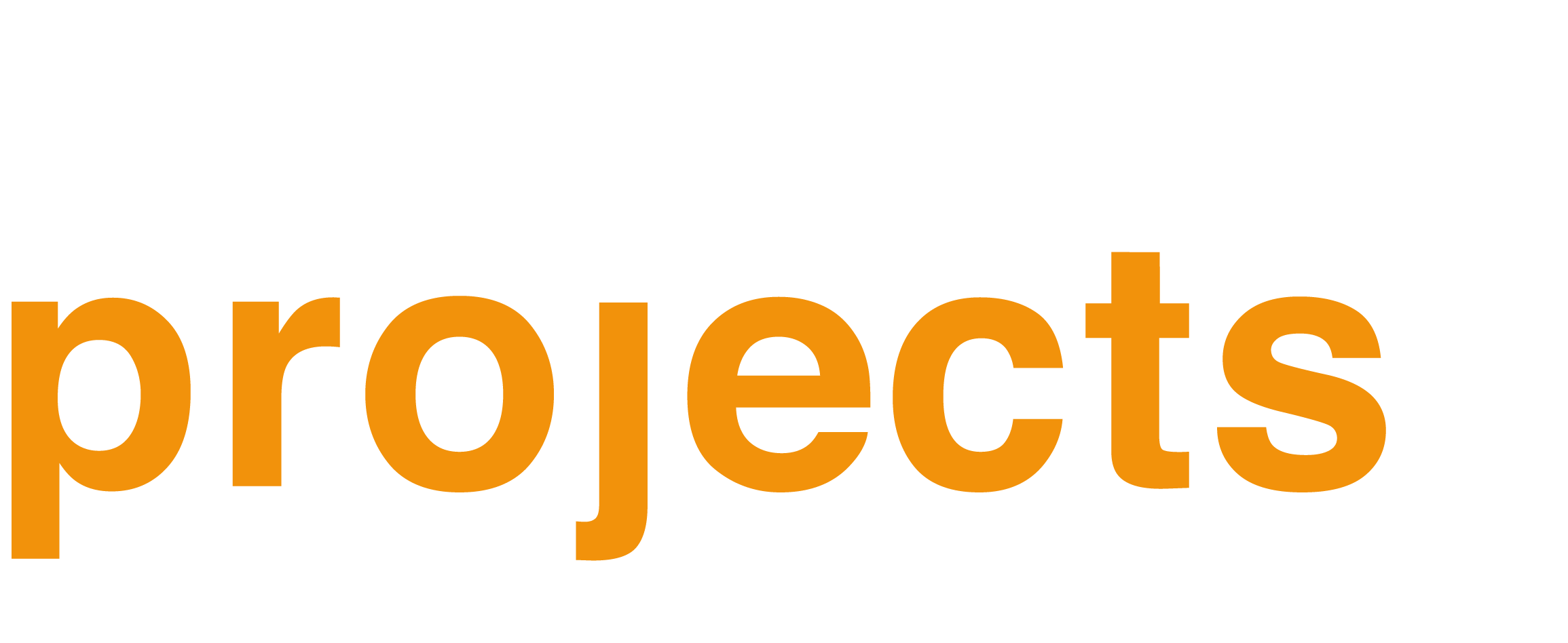 Logo Efficient Projects wit Oranje